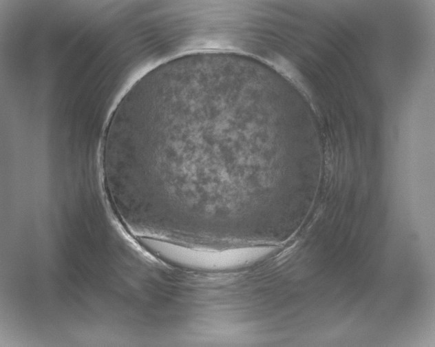 X0000053131382200507251738