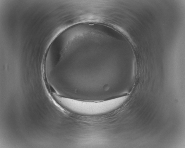 X0000053131383200507251738