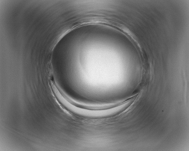 X0000053131385200507251738