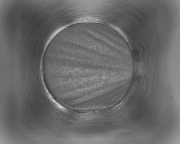 X0000053131387200507251738