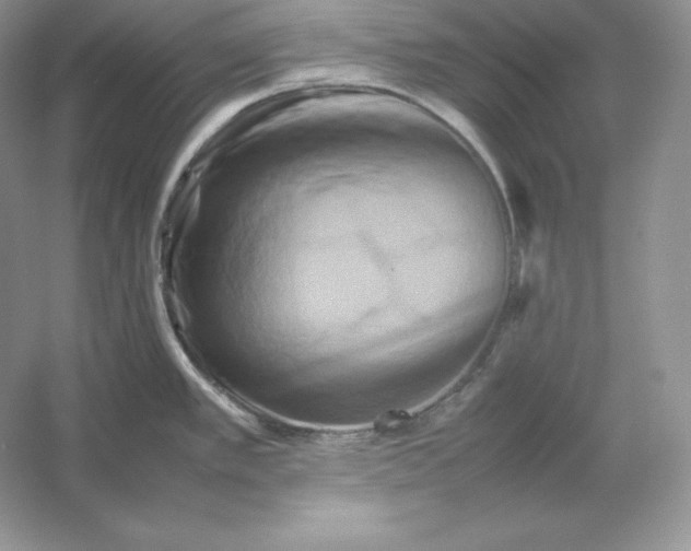 X0000053131389200507251738