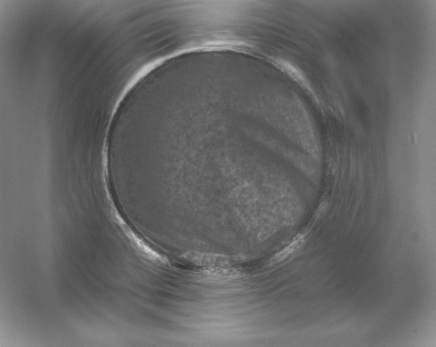 X0000053131420200507251737