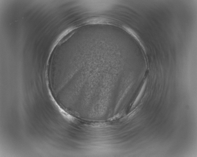 X0000053131434200507251738