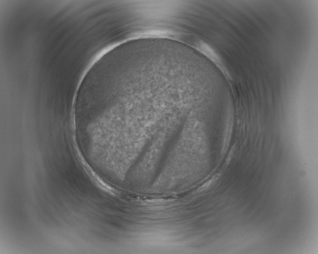 X0000053131436200507251738