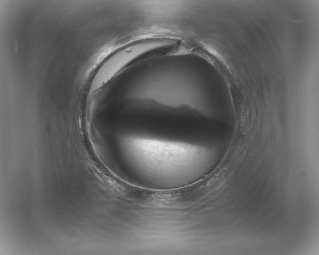 X0000053131455200507251737