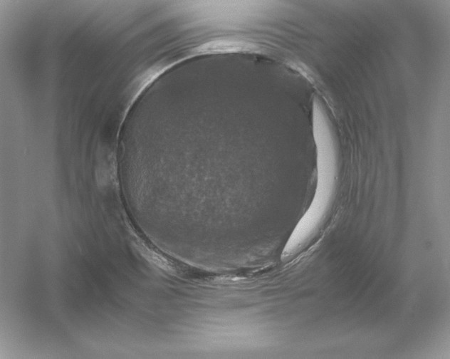 X0000053131465200507251736