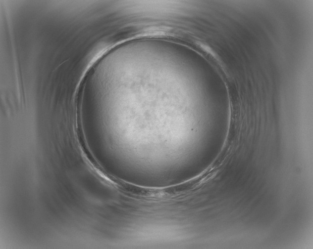 X0000053131467200507251736