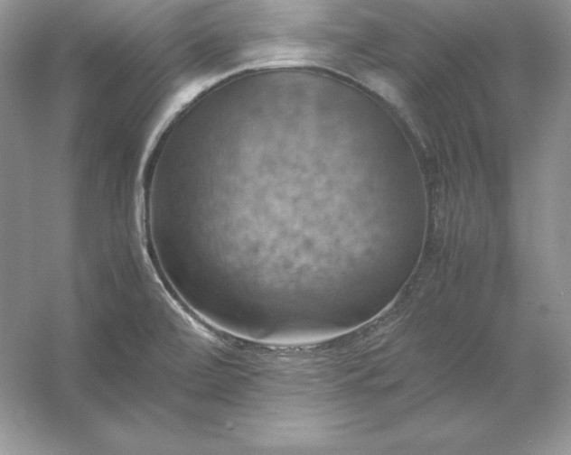 X0000053131472200507251736