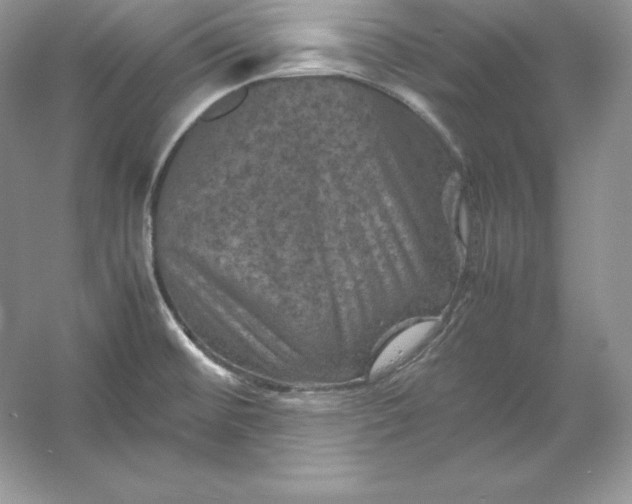 X0000053131476200507251736