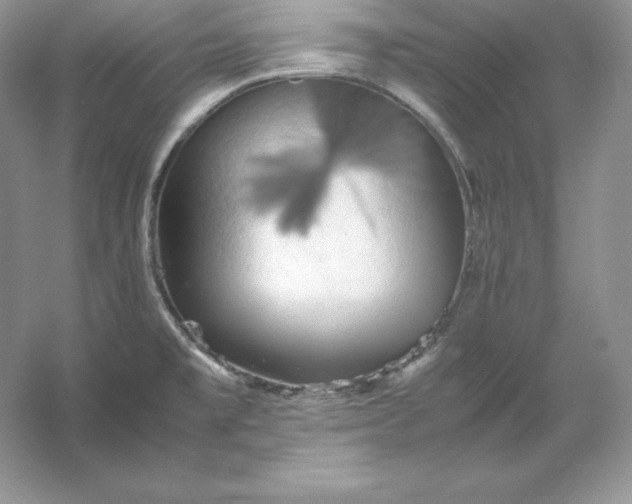 X0000053131477200507251736