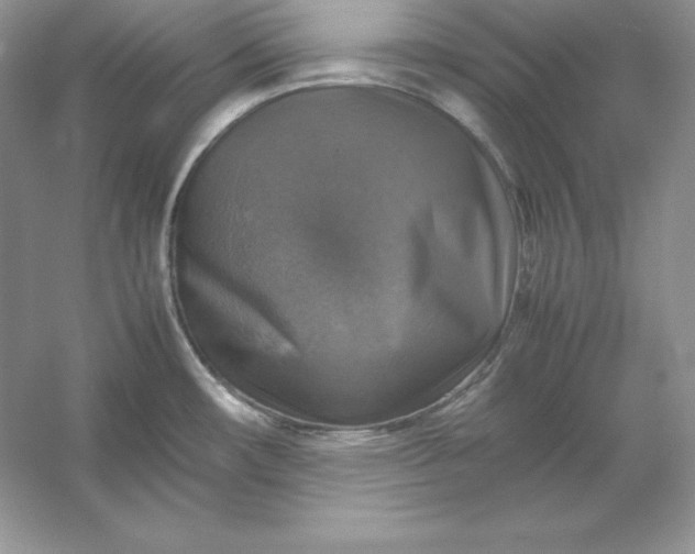 X0000053131482200507251736