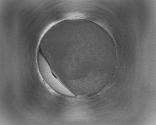X0000053131488200507251736