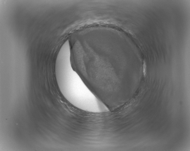 X0000053131492200507251735