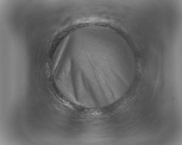 X0000053131493200507251735