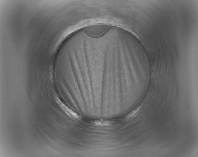 X0000053131499200507251735