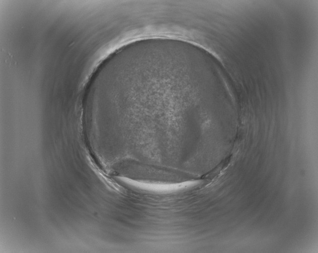 X0000053131507200507251736