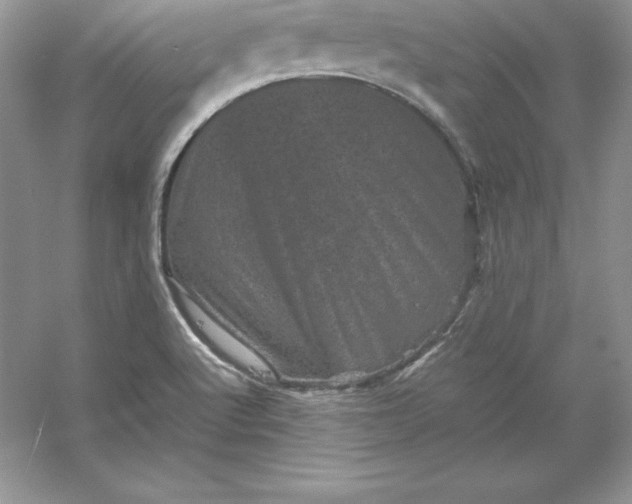 X0000053131512200507251736
