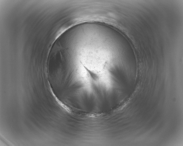 X0000053131521200507251736