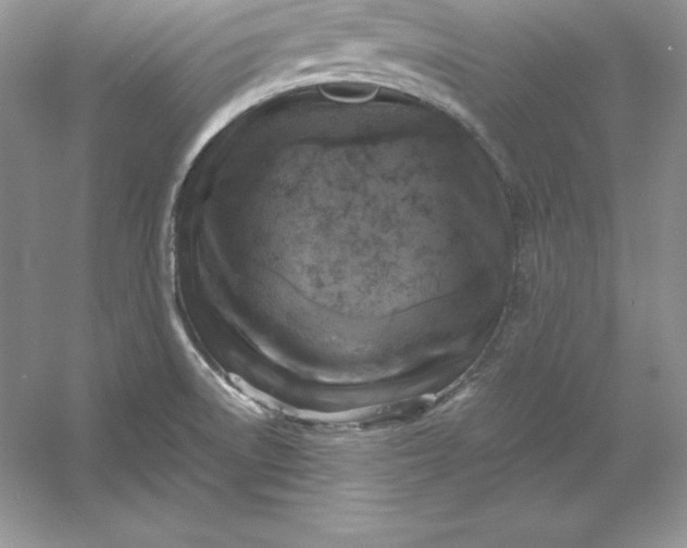 X0000053131522200507251736