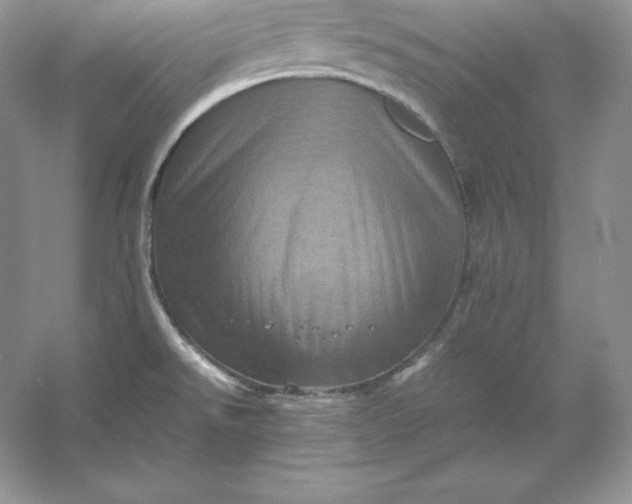 X0000053131526200507251736