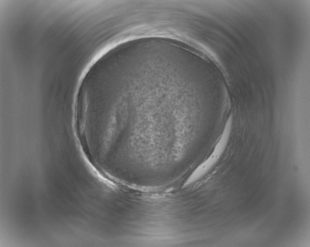 X0000053131528200507251736