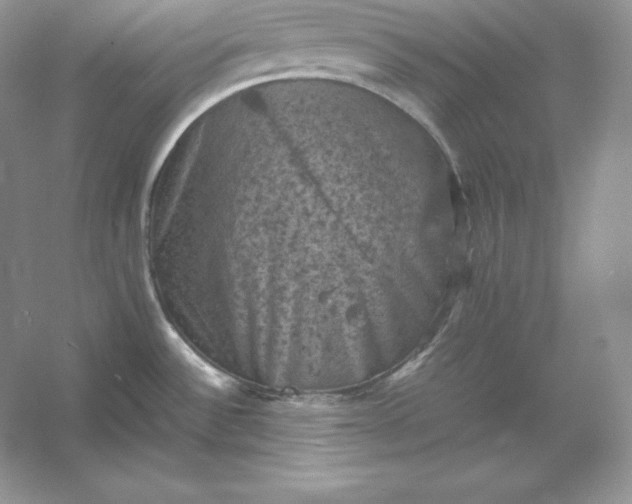X0000053131532200507251736