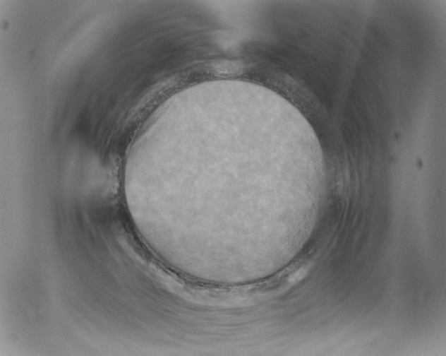 X0000053130032200508012229