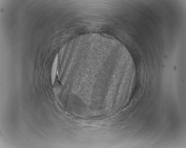 X0000053130033200508012229