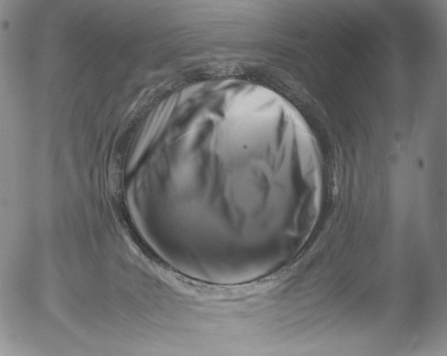 X0000053130035200508012229