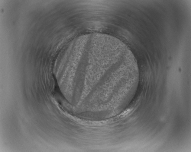 X0000053130040200508012229