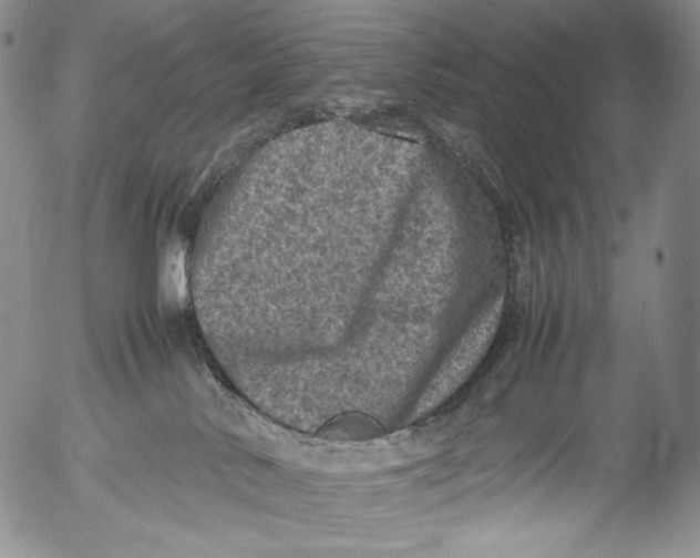 X0000053130042200508012229