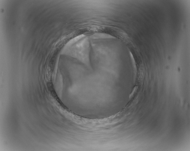 X0000053130043200508012229