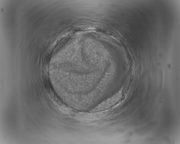 X0000053130045200508012229