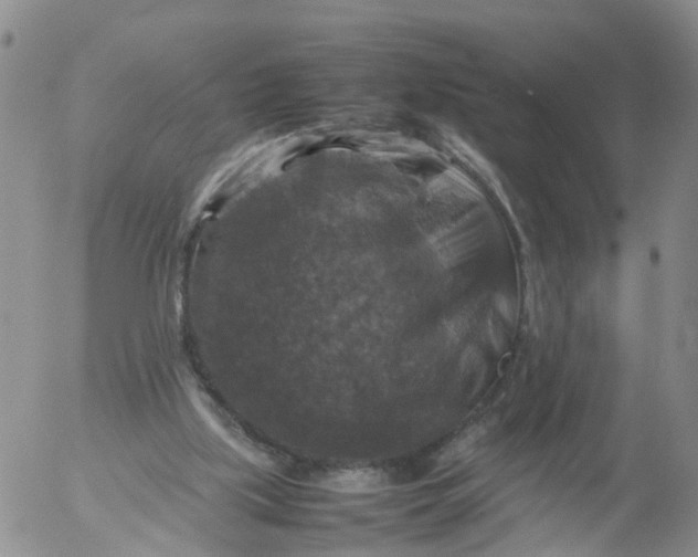 X0000053130059200508012228