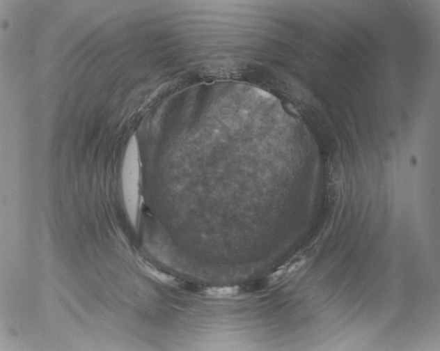 X0000053130080200508012229