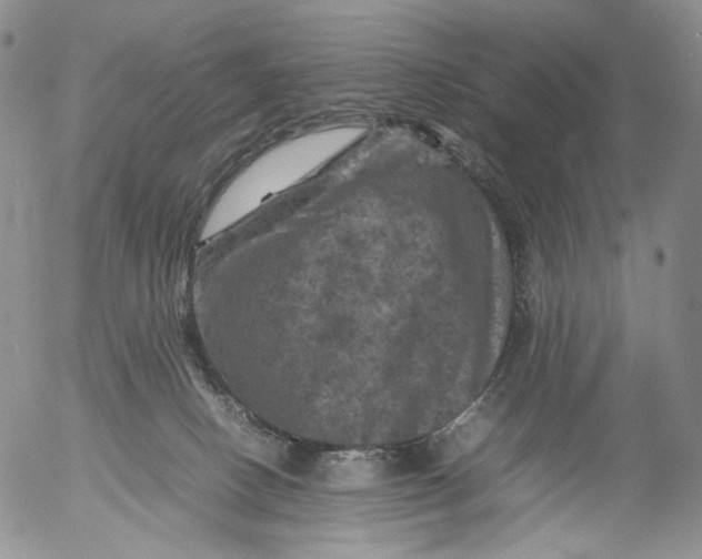 X0000053130082200508012229