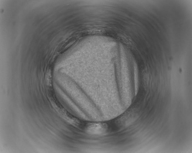 X0000053130083200508012229