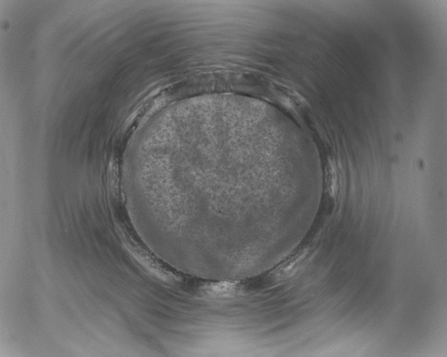 X0000053130092200508012229