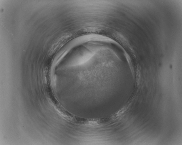 X0000053130114200508012228