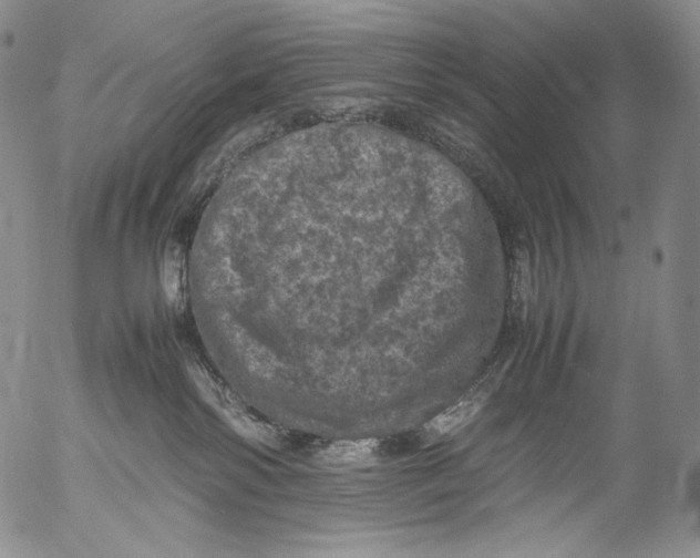 X0000053130138200508012227