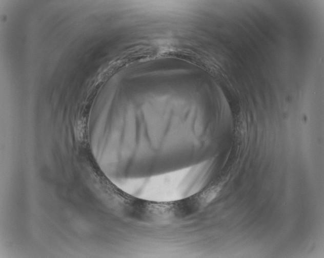 X0000053130139200508012227