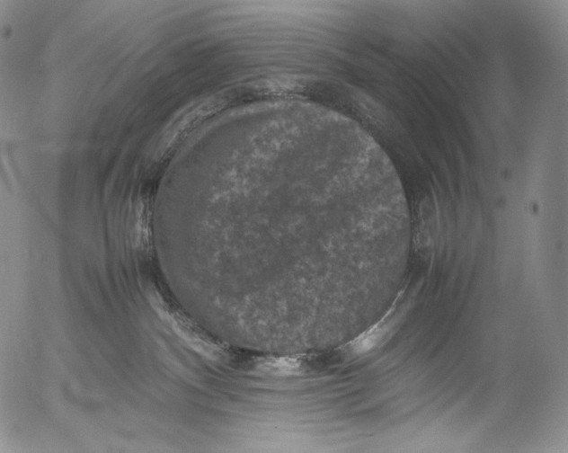 X0000053130140200508012227