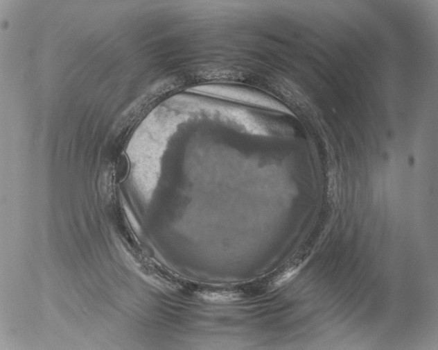 X0000053130165200508012227