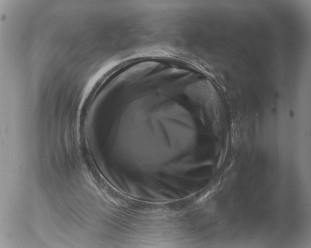 X0000053130200200508012226