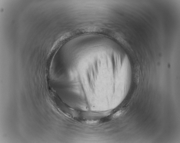 X0000053130207200508012226
