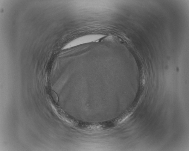 X0000053130213200508012226