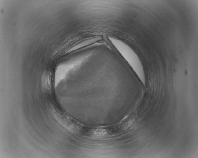 X0000053130214200508012226