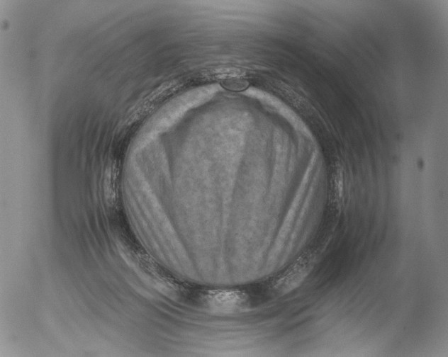 X0000053130218200508012226
