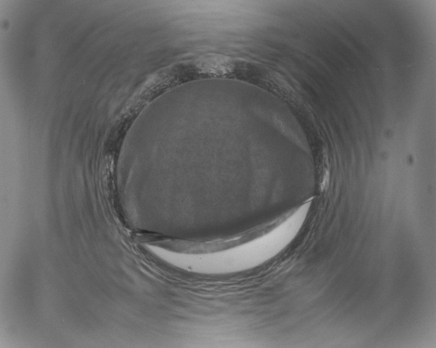 X0000053130229200508012226