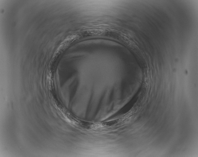 X0000053130231200508012226